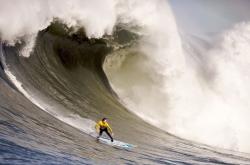开云下载-保罗末节狂飙19分统治攻防，森林狼掀翻活塞止连败