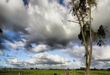 开云官网-博卡青年负于鲁河，阿根廷足坛动荡不安的简单介绍