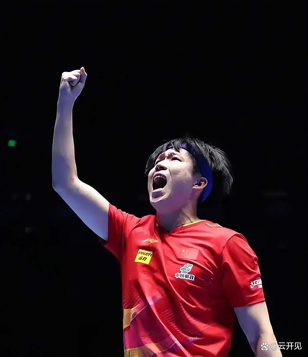 日本乒乓球队翻盘德国乒乓球队,王皓关键制胜的简单介绍 日本乒乓球队翻盘德国乒乓球队,王皓关键制胜的简单介绍