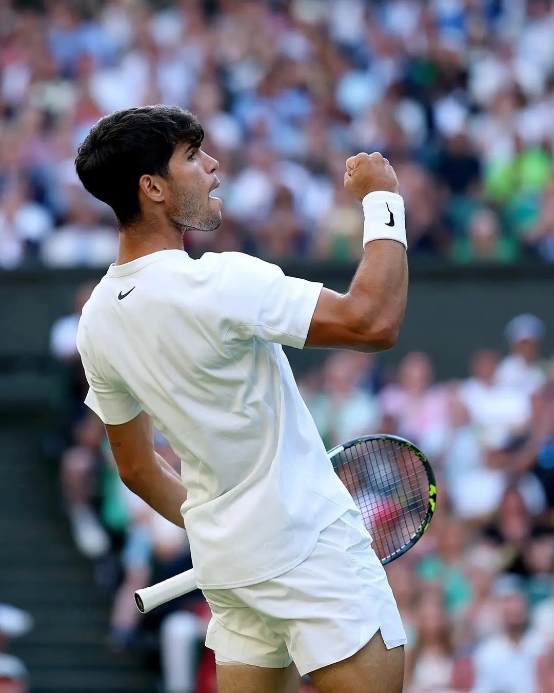 戴维斯杯绝杀ATP总决赛,阿尔卡拉斯扛起全队的简单介绍 戴维斯杯绝杀ATP总决赛,阿尔卡拉斯扛起全队的简单介绍