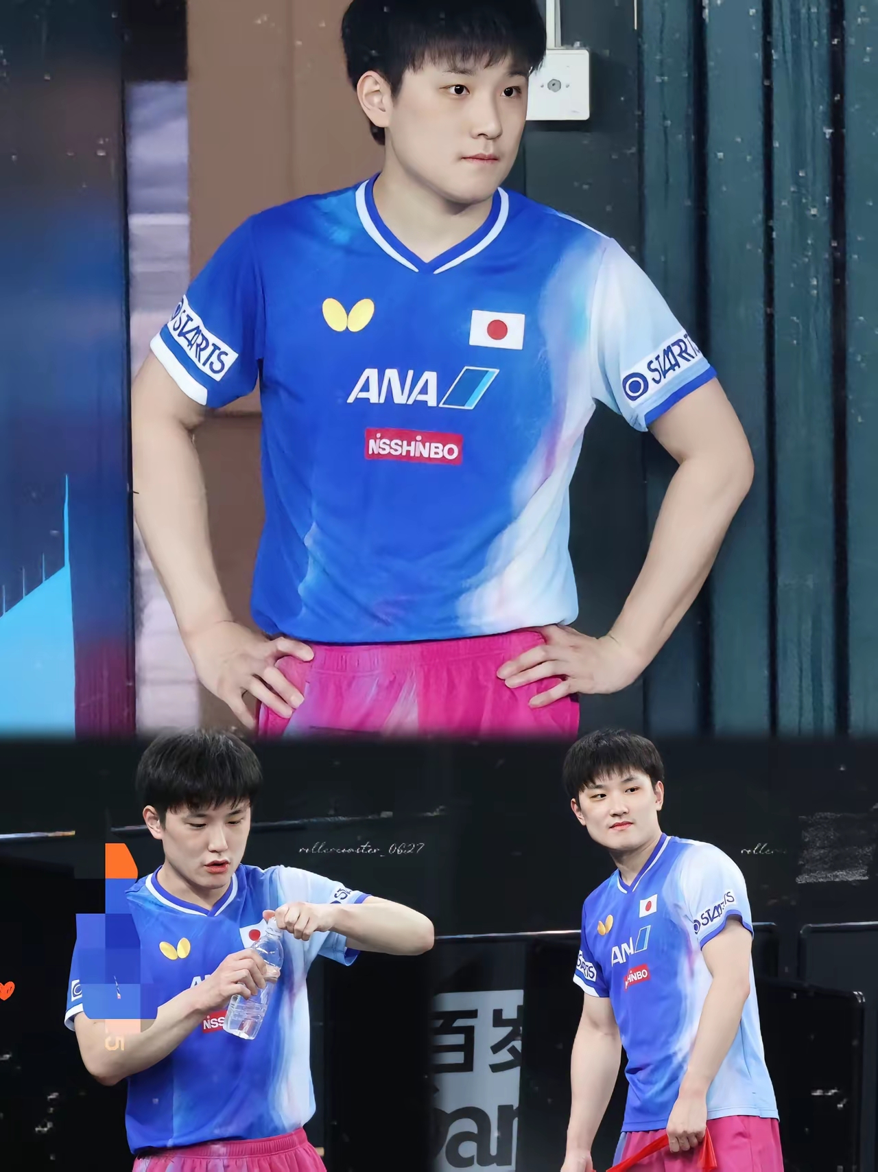 奥地利队逆转中国队,张本智和状态火热的简单介绍 奥地利队逆转中国队,张本智和状态火热的简单介绍