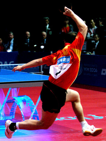 日本队鏖战德国队，马琳扛起全队的简单介绍