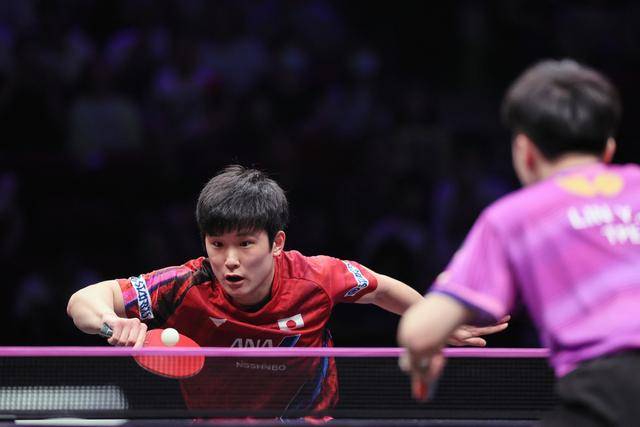 波兰队鏖战韩国队，张本智和状态火热的简单介绍