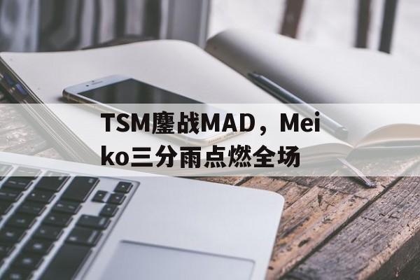 TSM鏖战MAD，Meiko三分雨点燃全场的简单介绍
