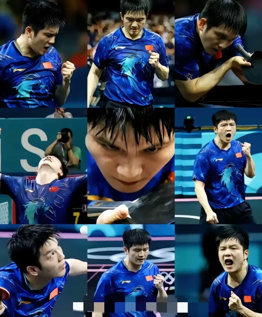 包含法国队绝杀瑞典队，樊振东状态火热的词条