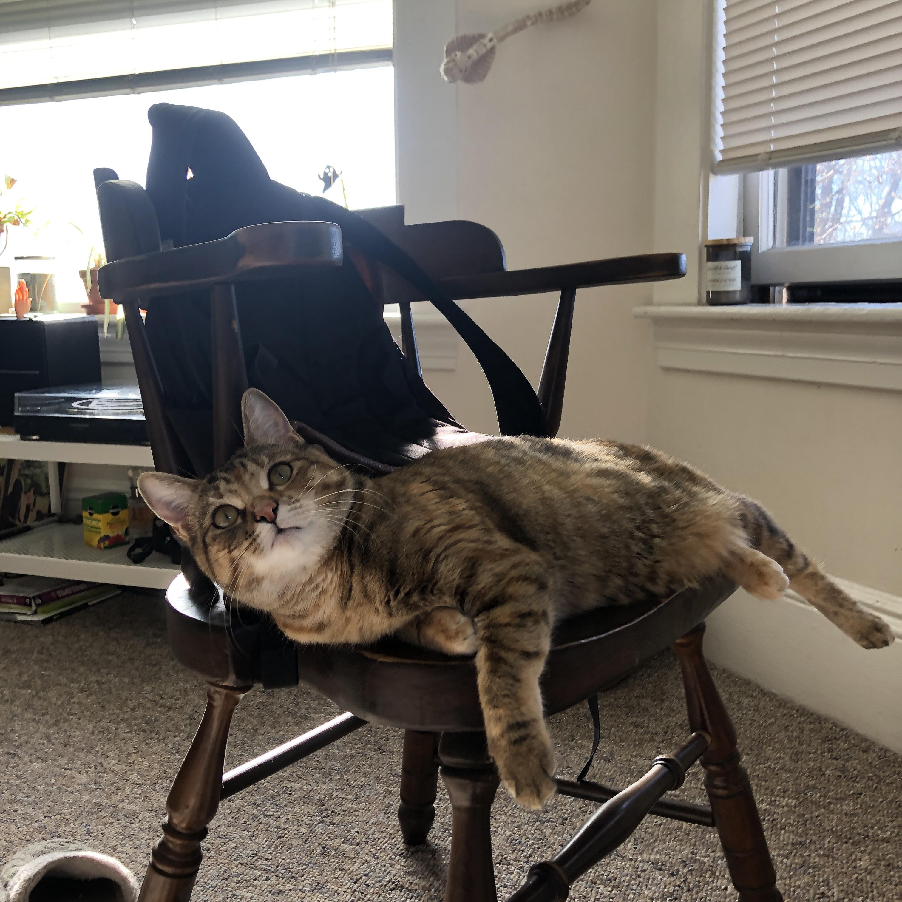 毕尔巴鄂强行终结曼城,布鲁诺成为关键先生